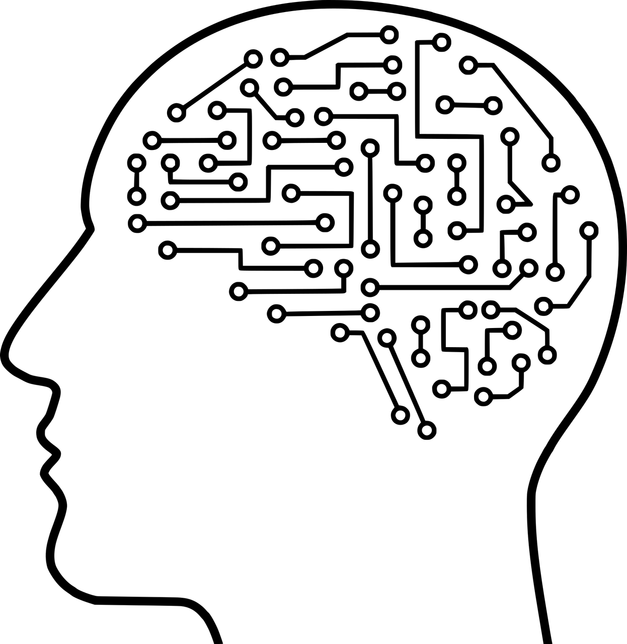 Adapting to Algorithm Changes as a TikTok Creator