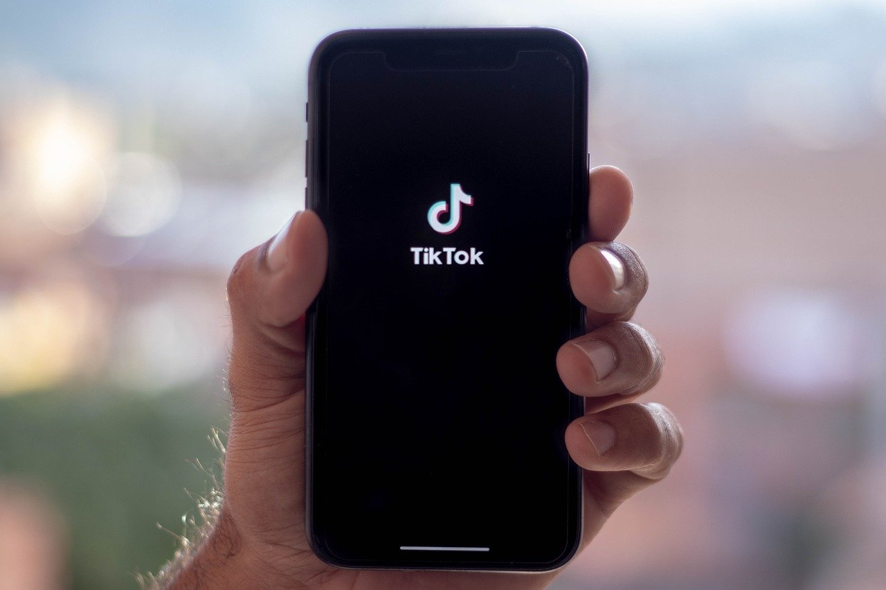 Building a Following as a TikTok Creator